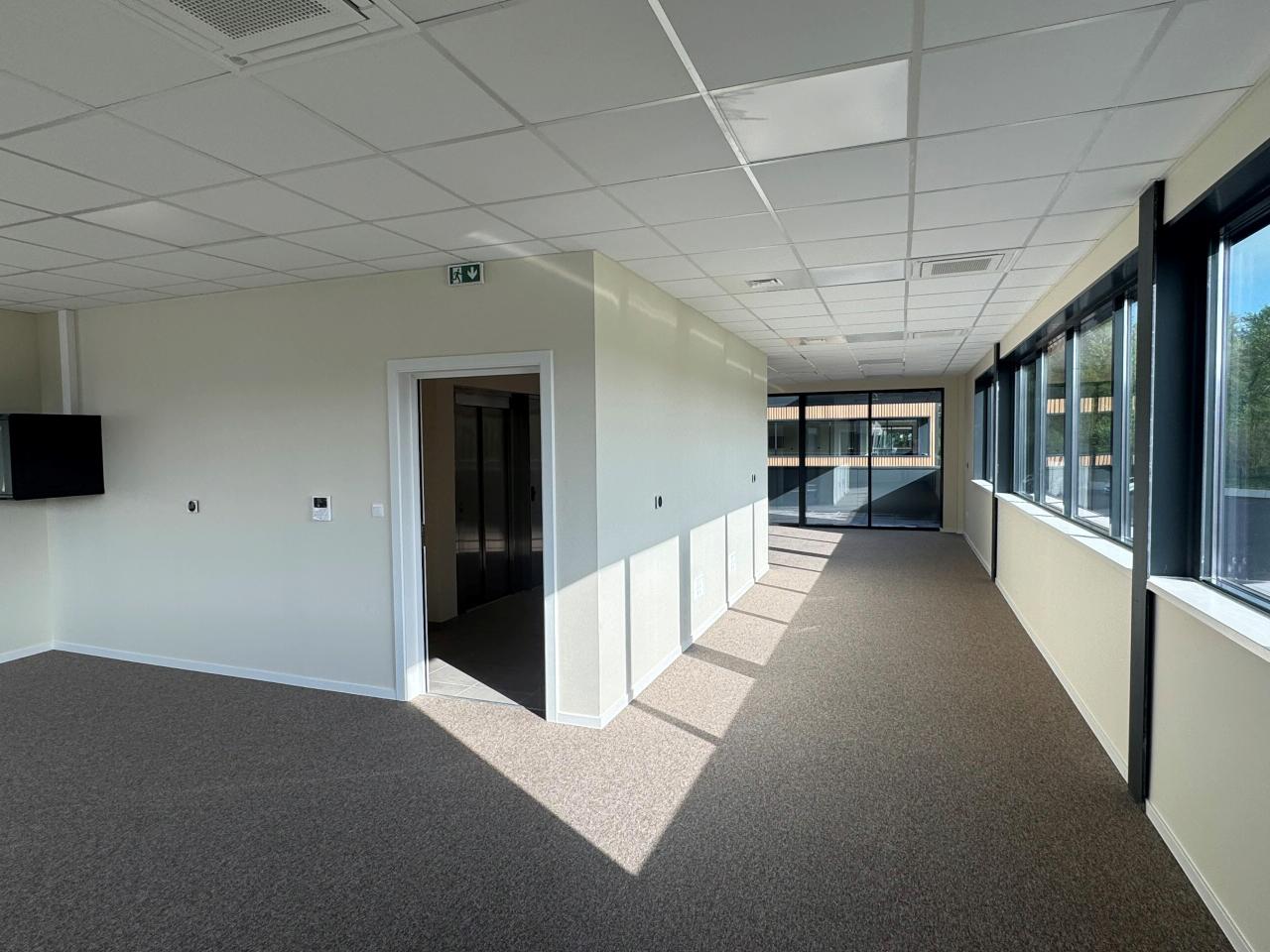 Local d'activité Geispolsheim 2996m² Location local d'activité Geispolsheim Bas-Rhin OLACT2420594 13